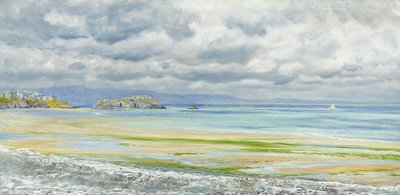 Isla de Santa Catalina, 1879 de John Brett